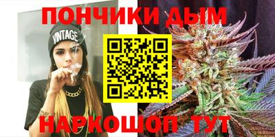 сатива Краснодар