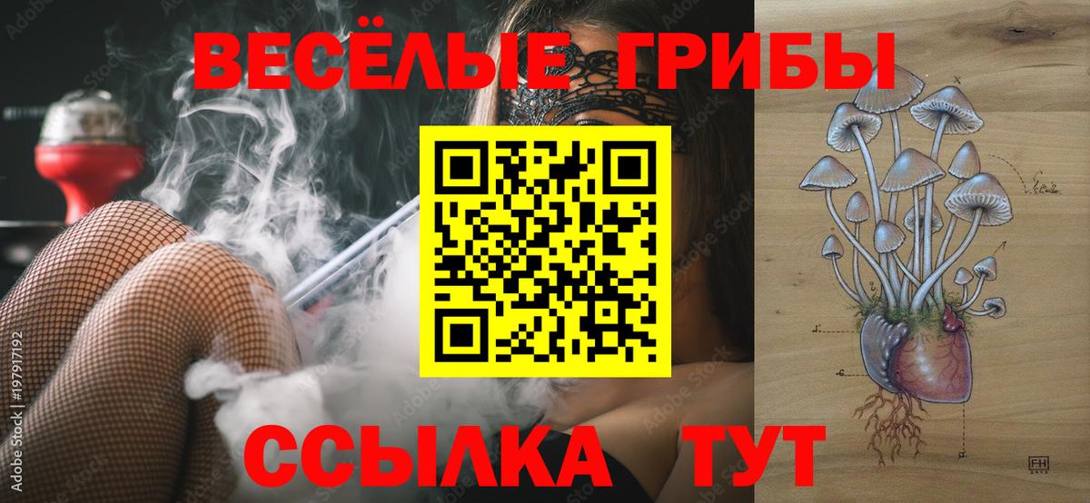 Кисловодск  Галлюциногенные грибы Magic Shrooms  Галлюциногенные грибы Psilocybe  Вход с VPN 