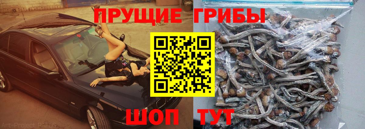 Галлюциногенные грибы MAGIC MUSHROOMS Кисловодск